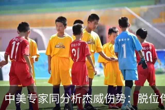 中美专家同分析杰威伤势：脱位伴随胫腓骨折 下胫腓联合韧带可能撕裂
