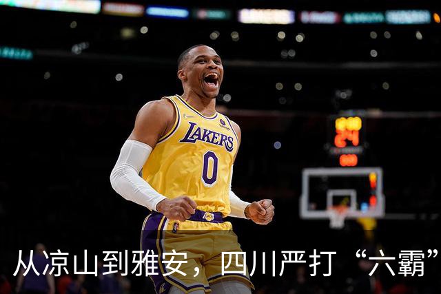 从凉山到雅安，四川严打“六霸”一锅端：打掉112个，559起刑案告破