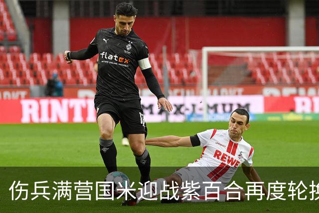 伤兵满营国米迎战紫百合再度轮换，小图恰20面对最爱对手！