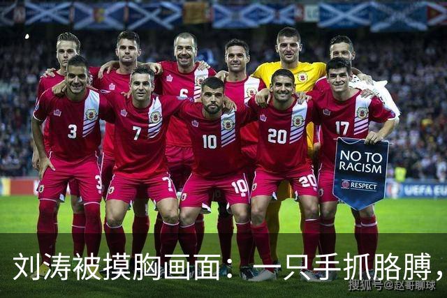 刘涛被摸胸画面：一只手抓胳膊，一只手顶住她的胸！