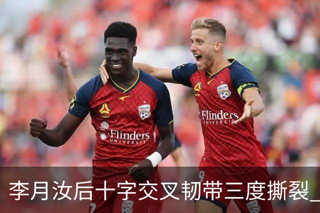 李月汝后十字交叉韧带三度撕裂 和断掉无异