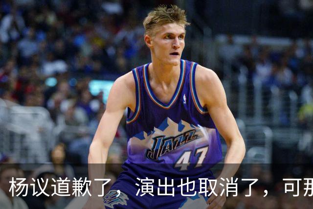 杨议道歉了，演出也取消了，可那句，“误会”，什么都没解决