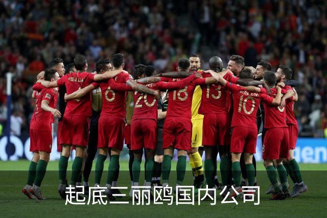 起底三丽鸥国内公司