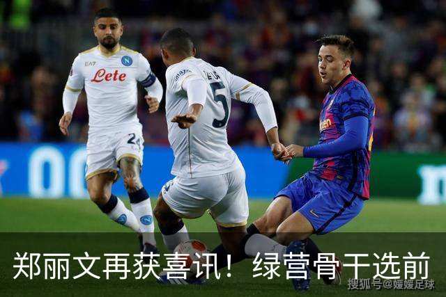 郑丽文再获喜讯！绿营骨干选前“弃绿投蓝”，对外表态加入国民党